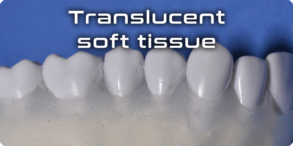 Translucent soft tissue