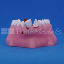 BM_U-0238-3