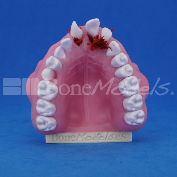 BM_U-0238-7