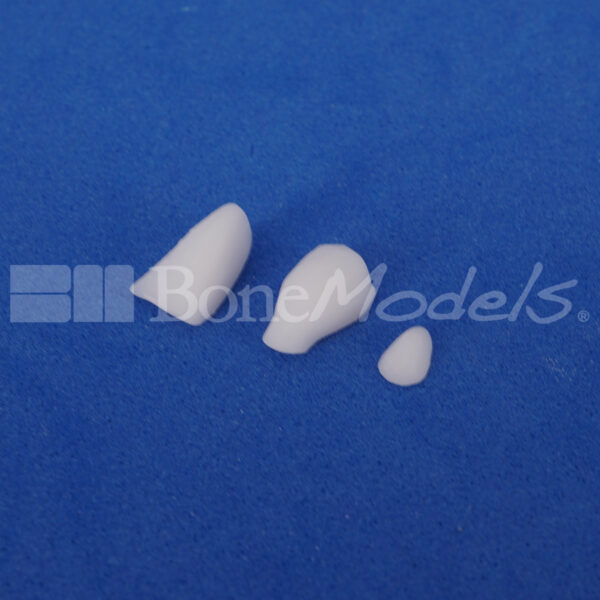 BM_U-0238-9